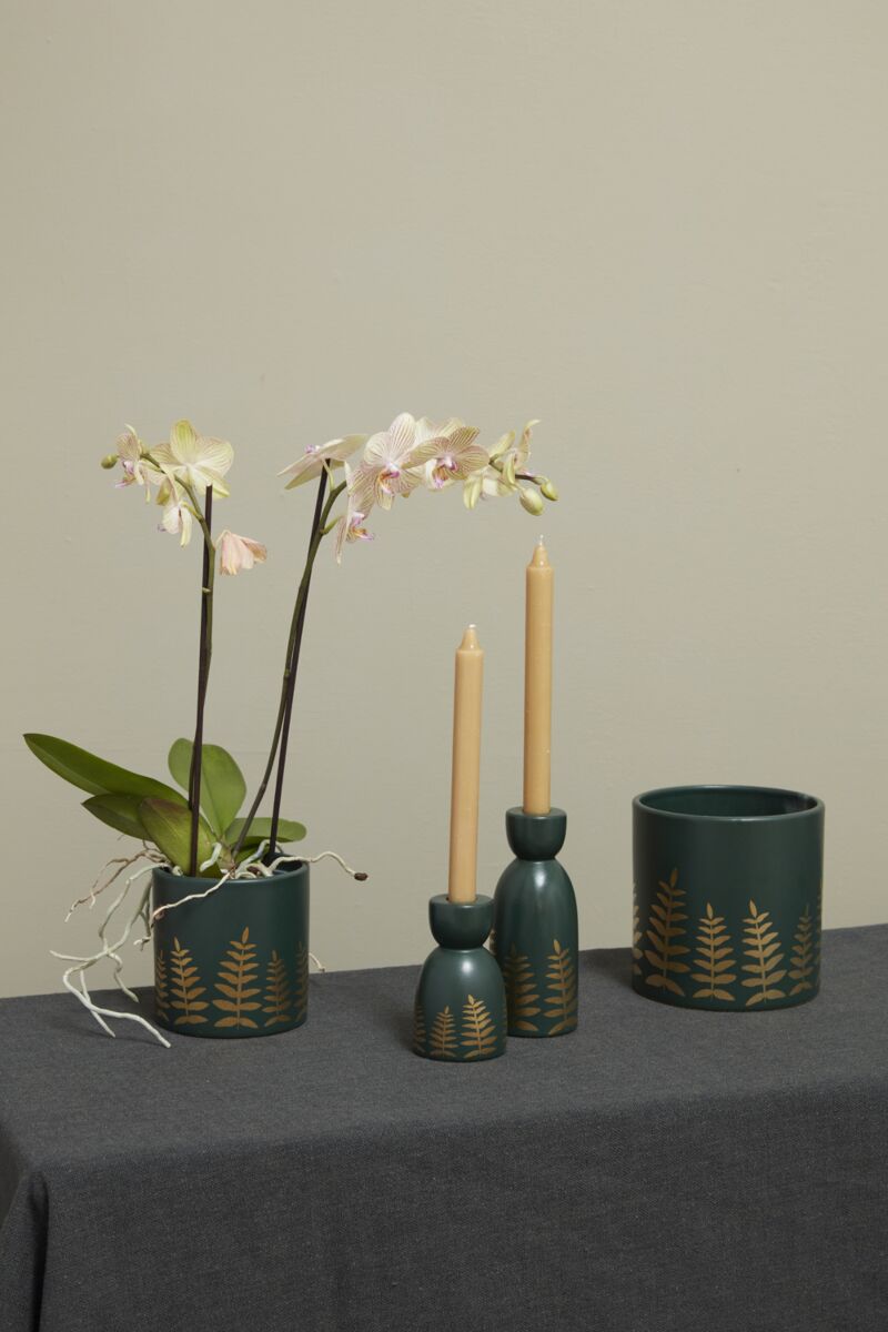 Midwinter Fern Pot (2 sizes)