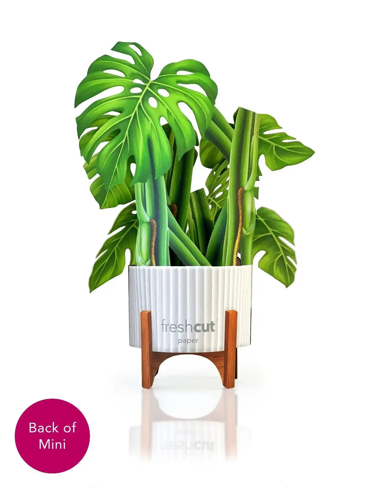 Freshcut Paper Mini Monstera - Pop Up Greeting Card