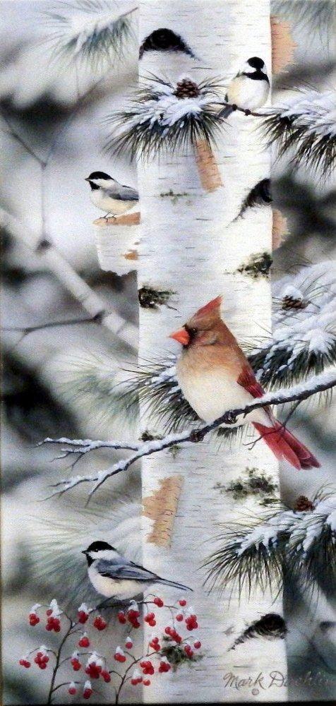 Feathered Friends II. Mark Daehlin