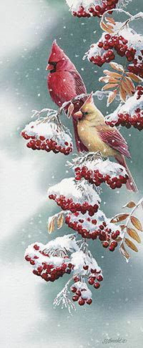 Scarlet & Snow, Susan Bourdet
