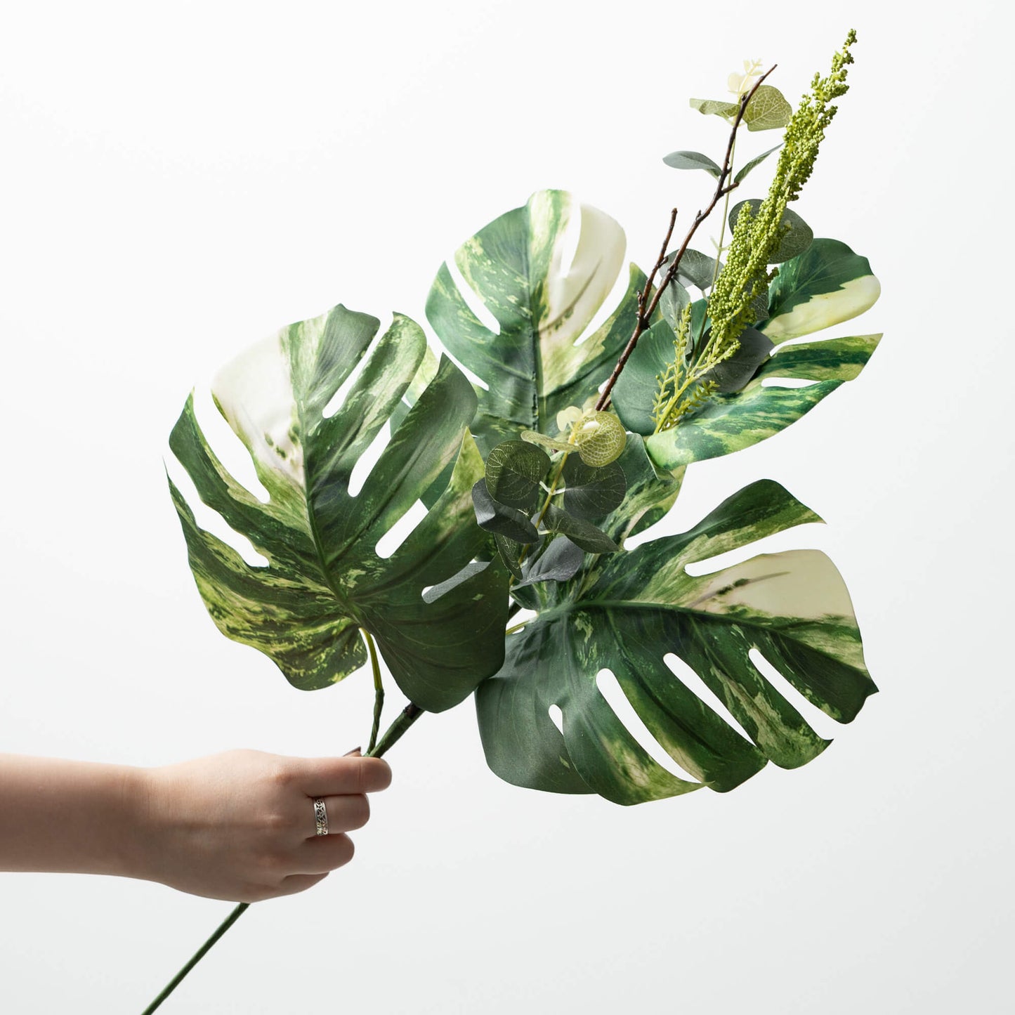 Verigated Leaf