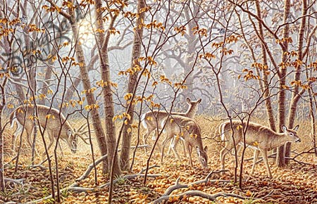 Autumn Encounter. Larry Zach