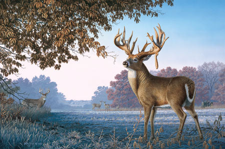 Big Country Bucks. Larry Zach