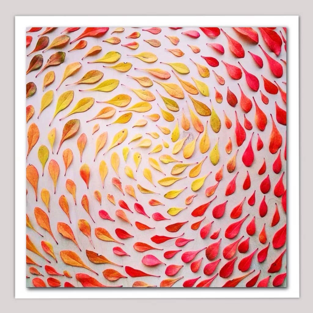 Sarah Smiles Creations - Leaf Swirl • Floral Greeting Card • Nature Art Photography