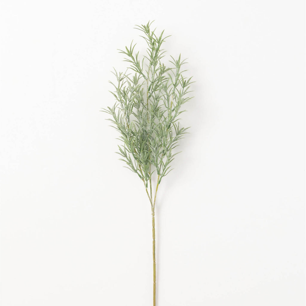 Rosemary Stem