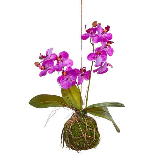 Real Touch Purple Orchid with Moss Ball