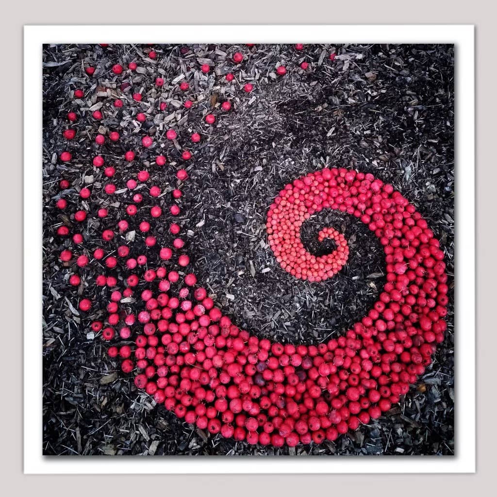 Sarah Smiles Creations - Hawthorn Berry Spiral • Botanical Greeting Card • Nature Art