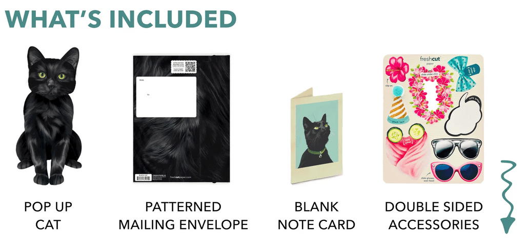 Freshcut Paper. Black Cat - Pop Up Greeting Card