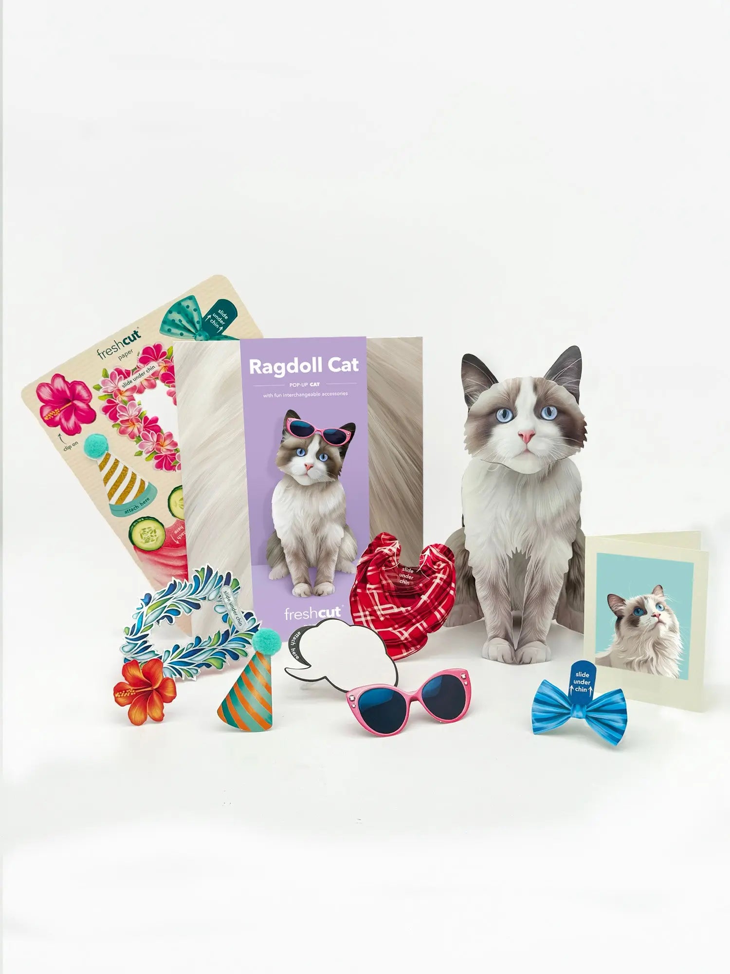 Freshcut Paper. Ragdoll Cat - Pop Up Greeting Card