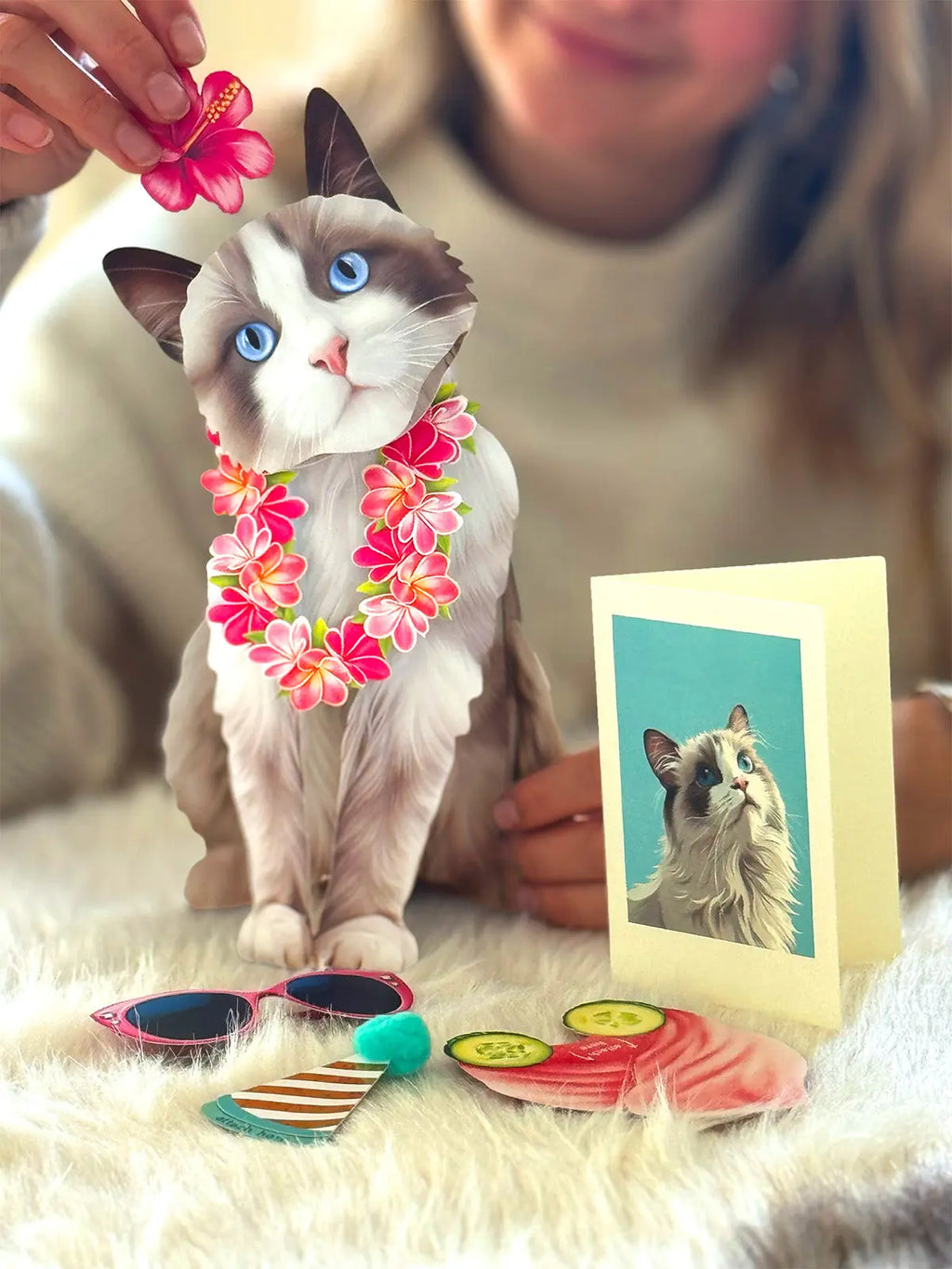 Freshcut Paper. Ragdoll Cat - Pop Up Greeting Card