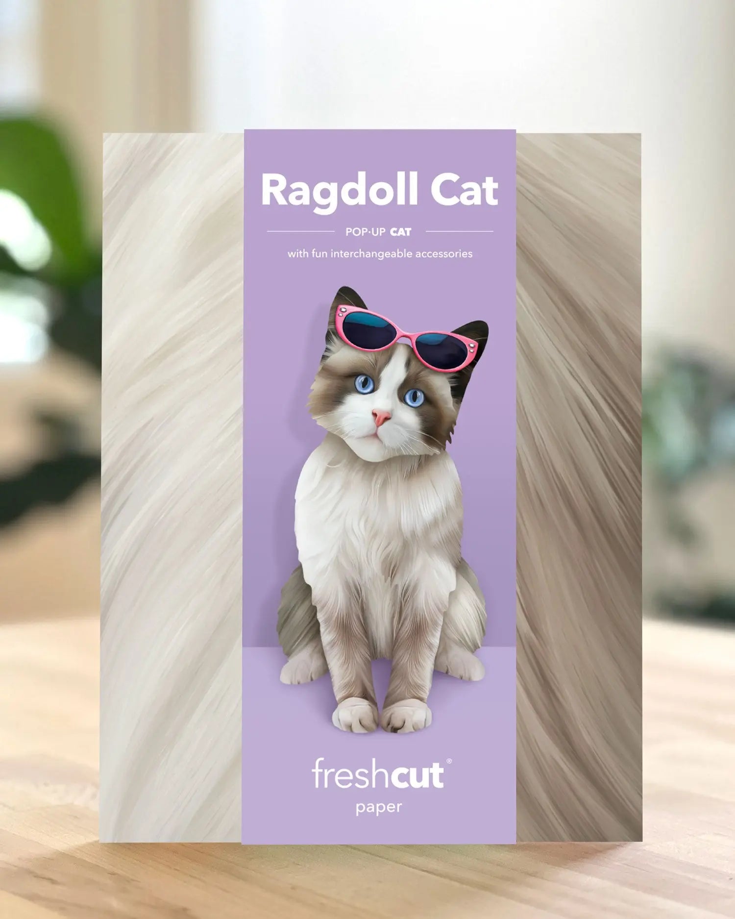Freshcut Paper. Ragdoll Cat - Pop Up Greeting Card