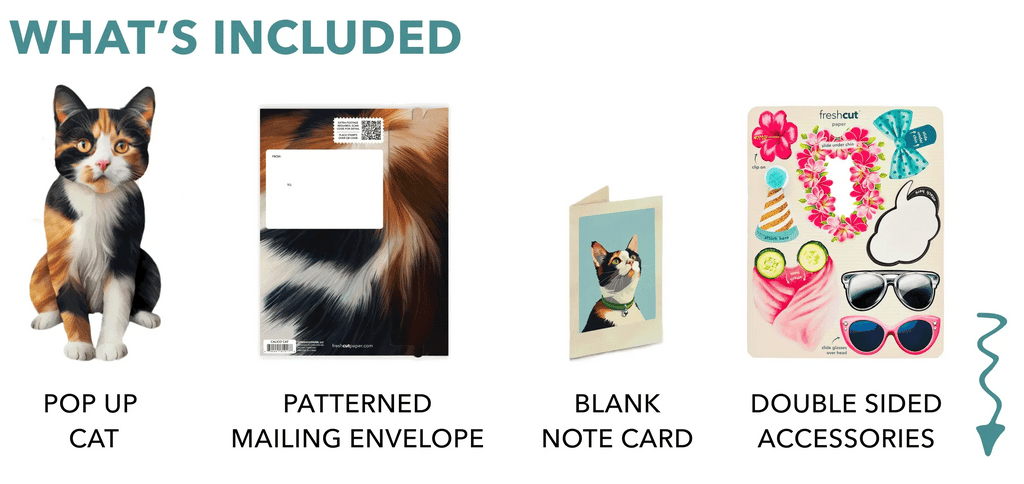 Freshcut Paper Calico Cat - Pop Up Greeting Card