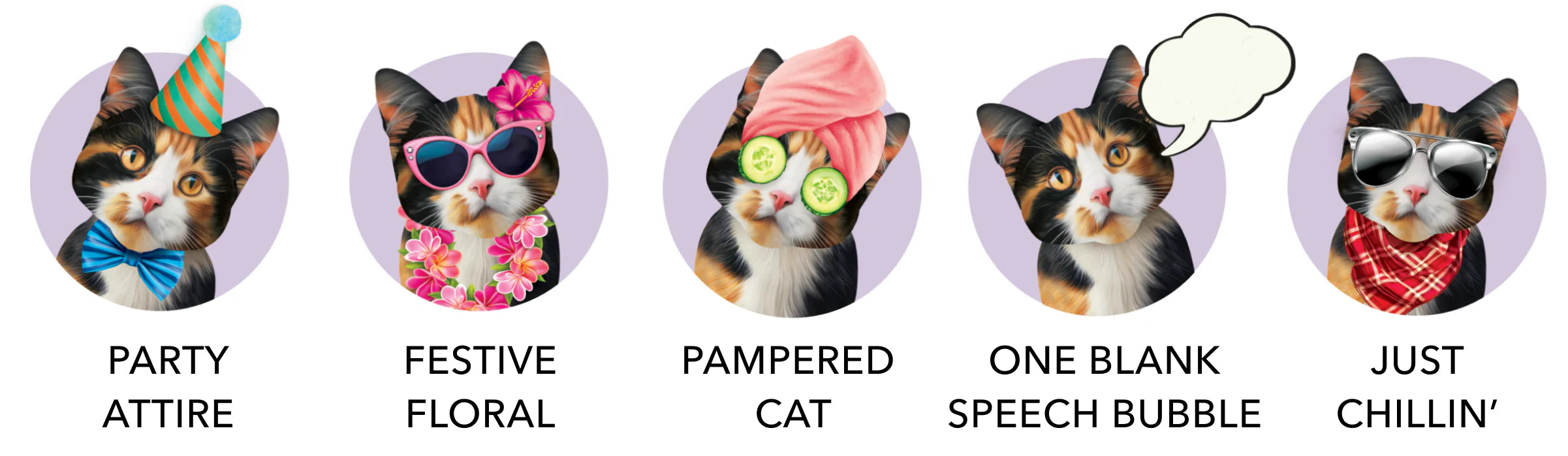Freshcut Paper Calico Cat - Pop Up Greeting Card