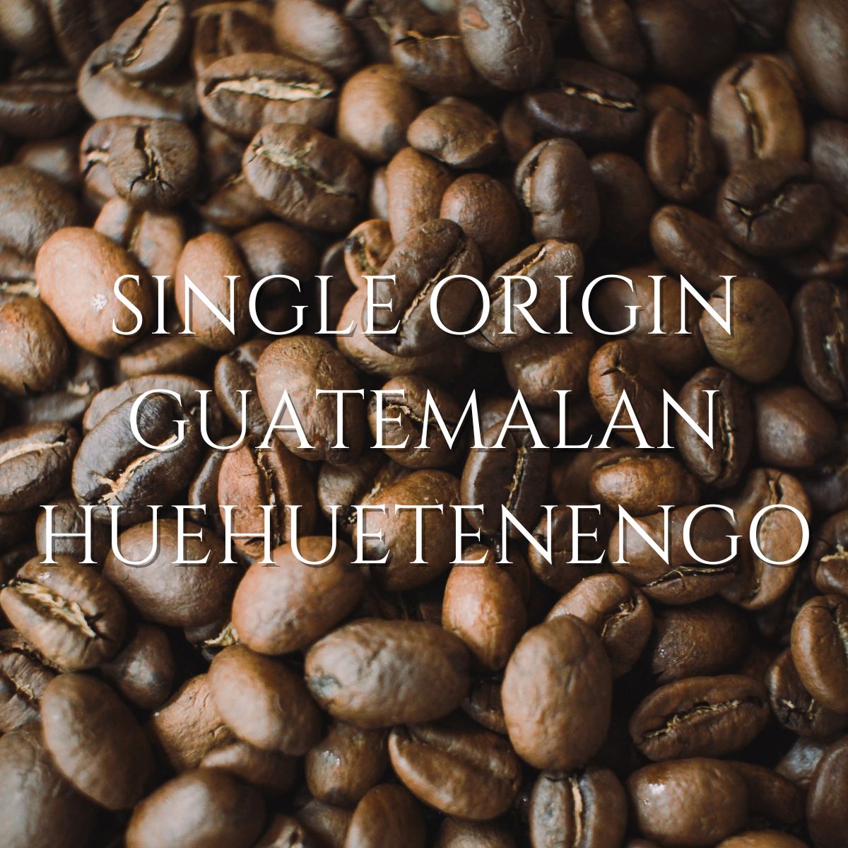 Single Origin - Guatemalan Huehuetanango Whole Bean Coffee