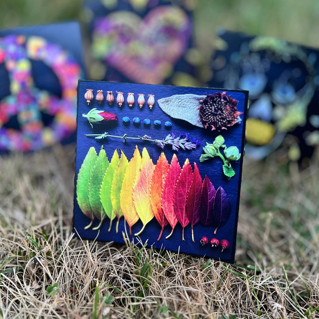 Sarah Smiles Creations - Fall Rainbow • Botanical Greeting Card • Nature Art Collage