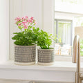 Sagebrook Home - Ivory Ceramic Line with Saucer (2 Sizes)