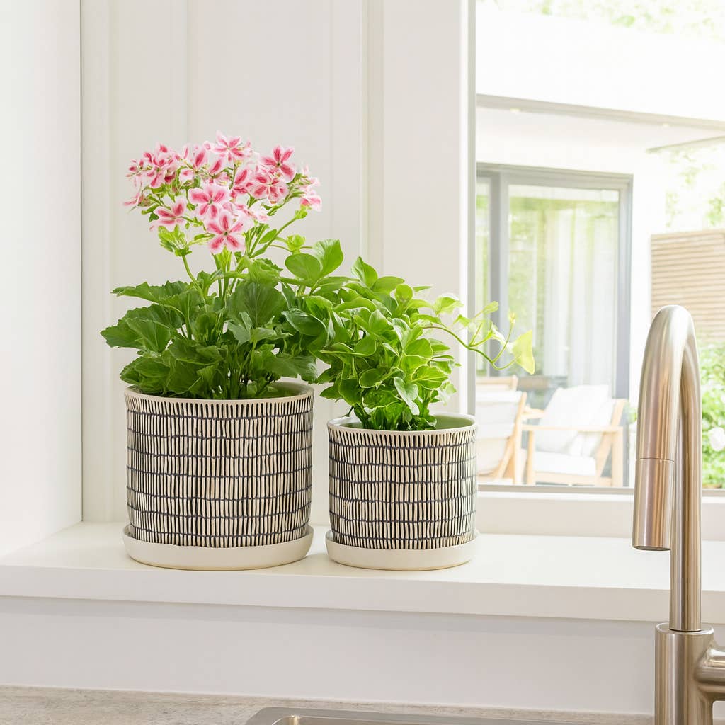 Sagebrook Home - Ivory Ceramic Line with Saucer (2 Sizes)