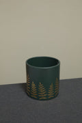 Midwinter Fern Pot (2 sizes)