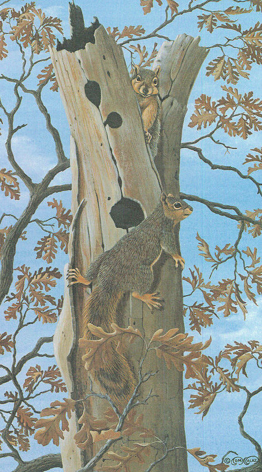 Squirrel Habitat Print, Tom Walker