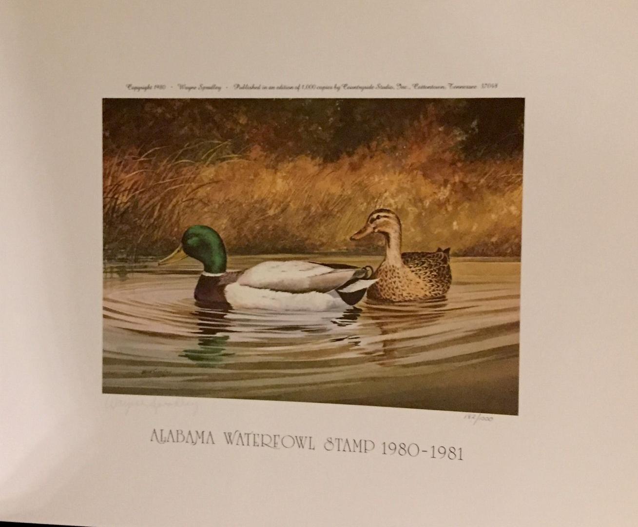 State Mallard Ducks, Wayne Spradley