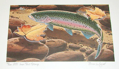 Trout , Brian Wignall