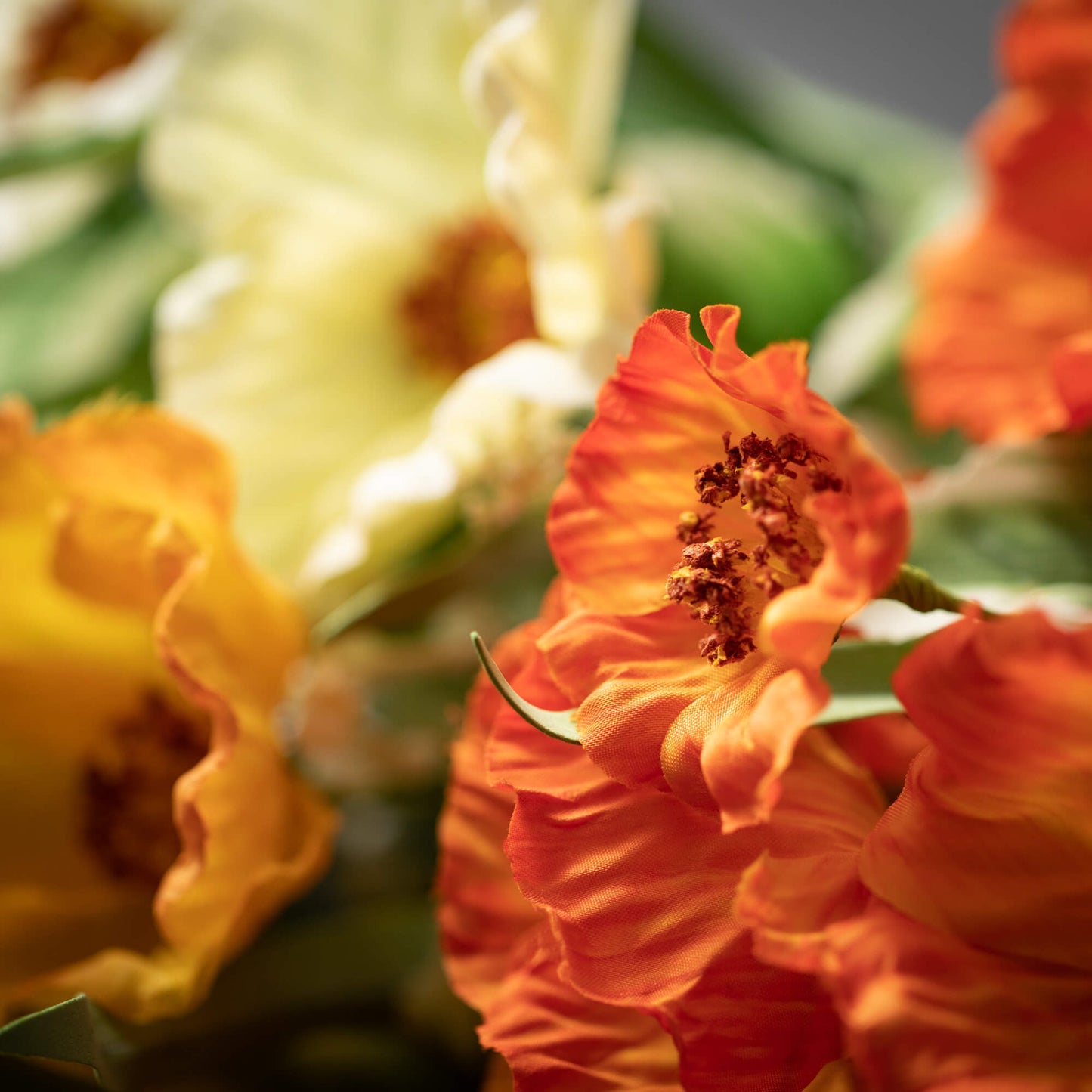 BRIGHT POPPY GRASS BUSH