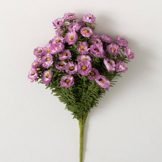 Purple Daisy Bush
