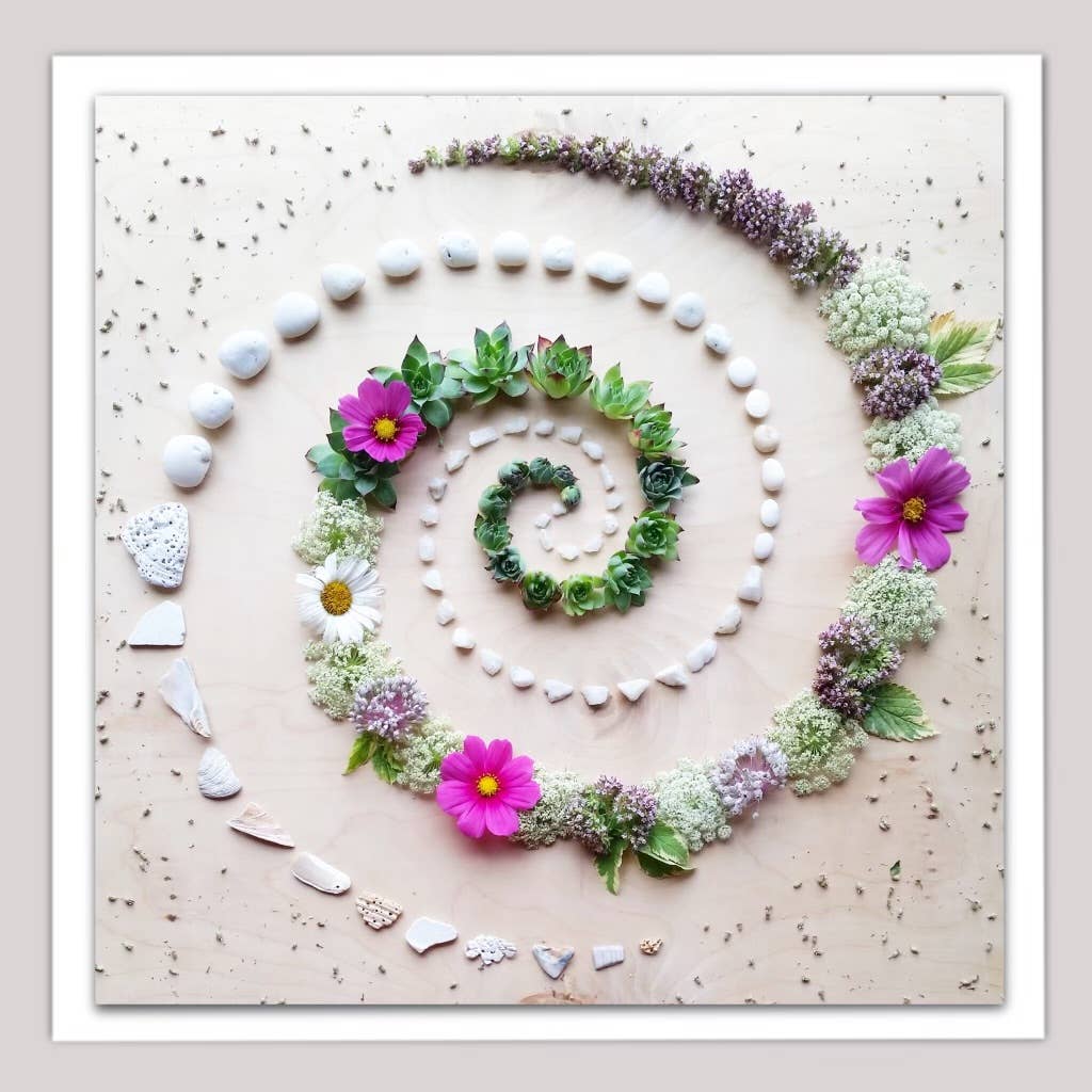 Sarah Smiles Creations - Succulent Spiral • Floral Greeting Card • Nature Art Photo