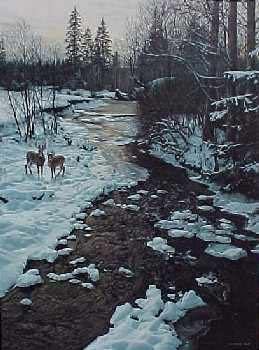 Winter Creek and Whitetails, Ron Parker