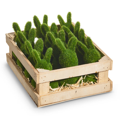 Moss Rabbits  (Sold Separately /or 12 per Crate  )