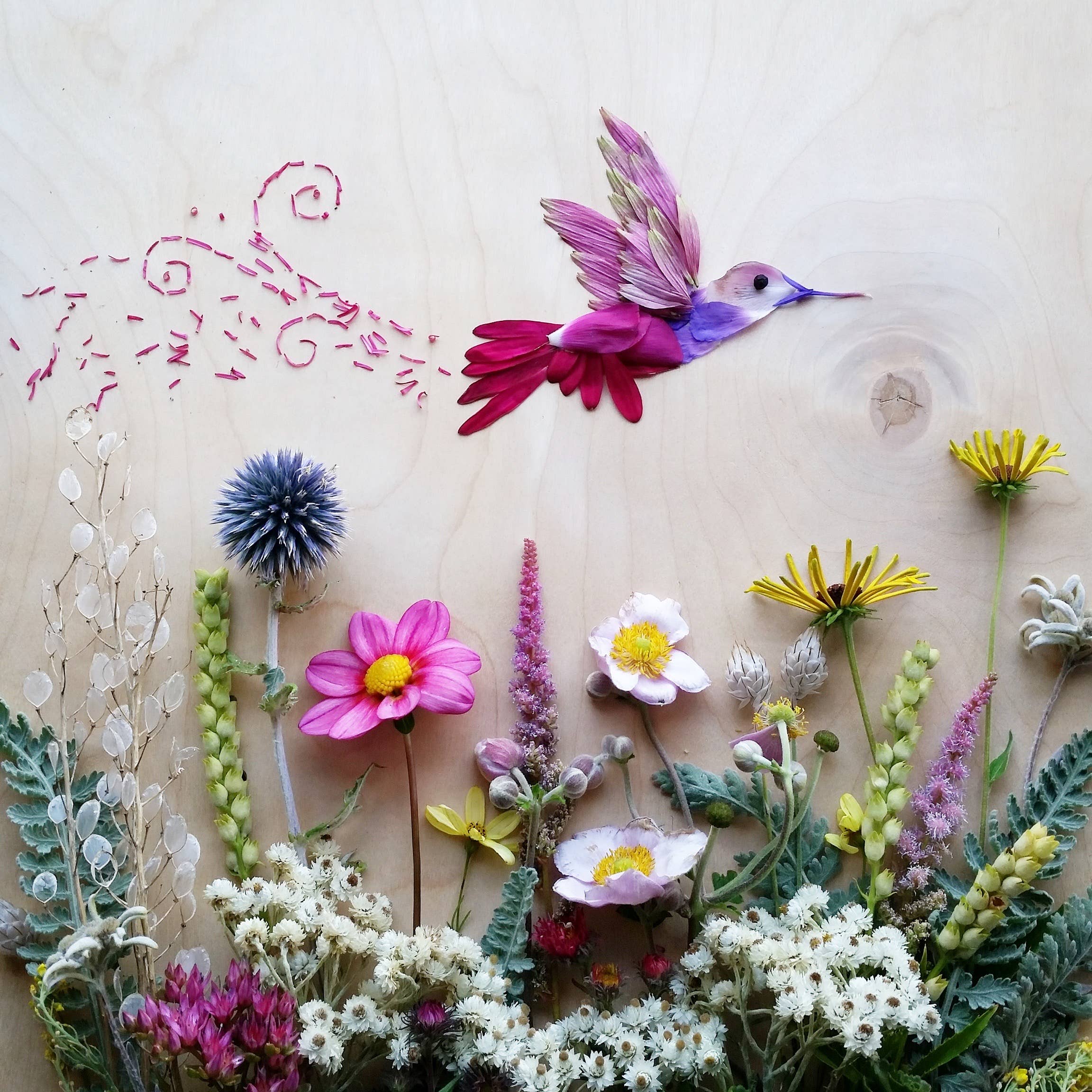 Sarah Smiles Creations - Hummingbird • Floral Greeting Card • Nature Art Photography 