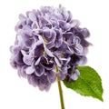 Soft Touch Faux Hydrangea Stem Purple