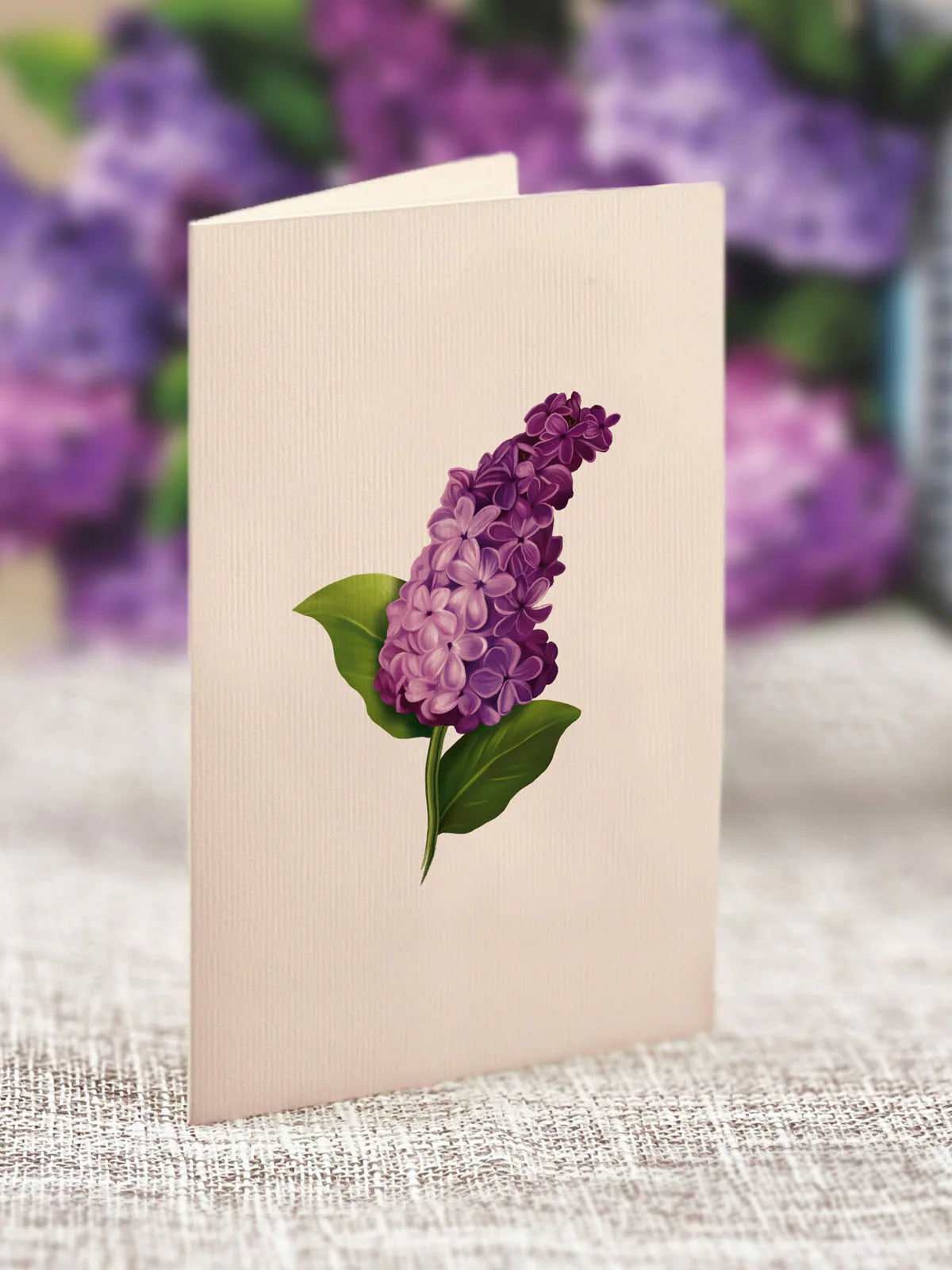 Freshcut Paper. Mini Garden Lilacs Pop-Up Card