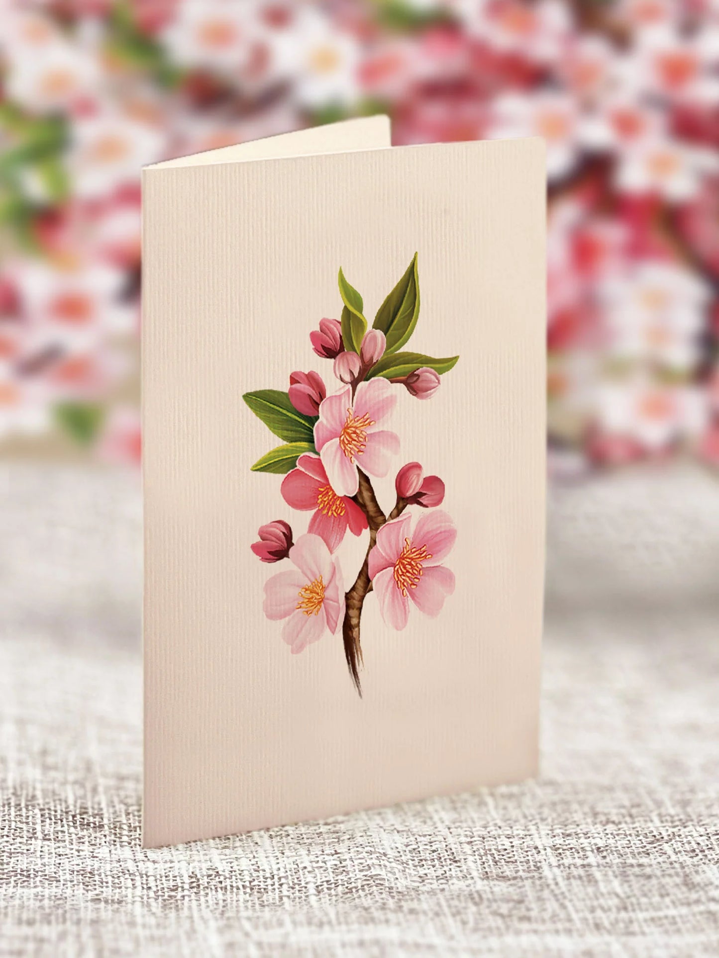 Freshcut Paper. Mini Japanese Cherry Blossoms Pop-Up Card