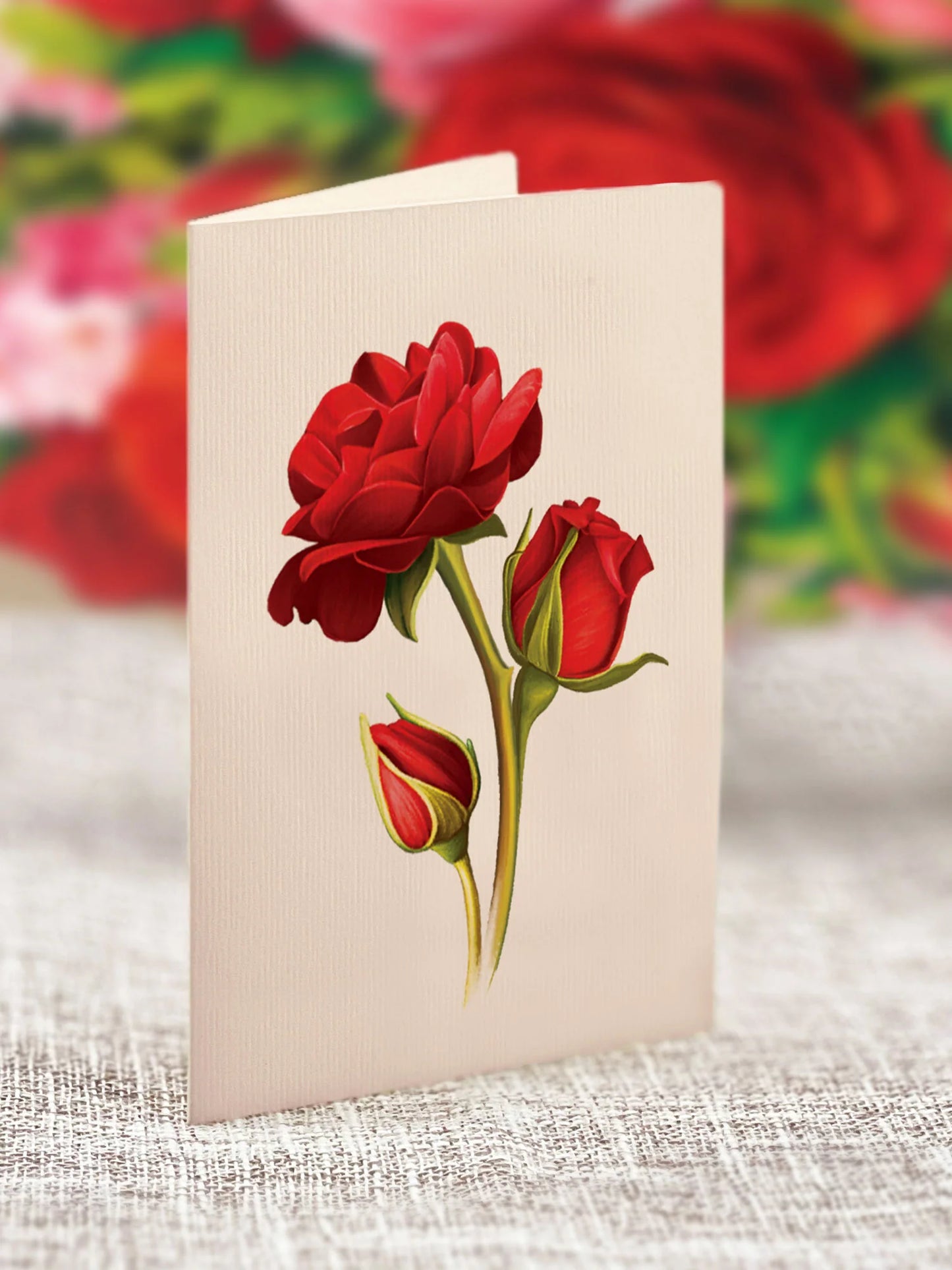 Freshcut Paper. Mini Blooming Roses Pop-Up Card