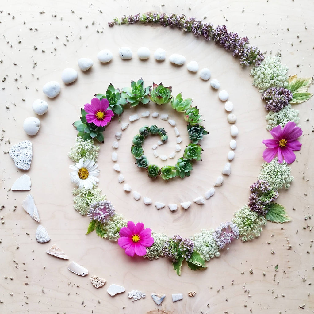 Sarah Smiles Creations - Succulent Spiral • Floral Greeting Card • Nature Art Photo