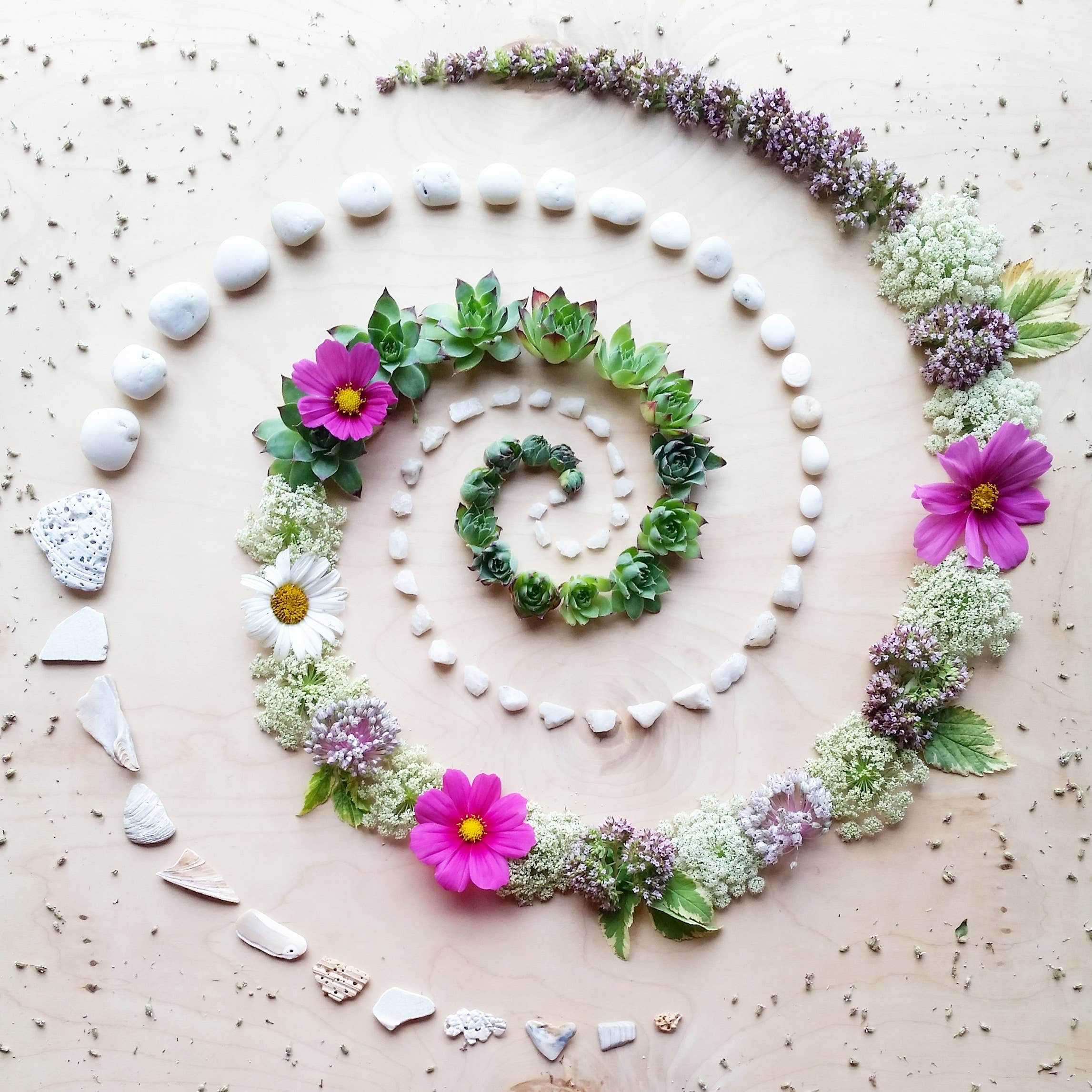 Sarah Smiles Creations - Succulent Spiral • Floral Greeting Card • Nature Art Photo