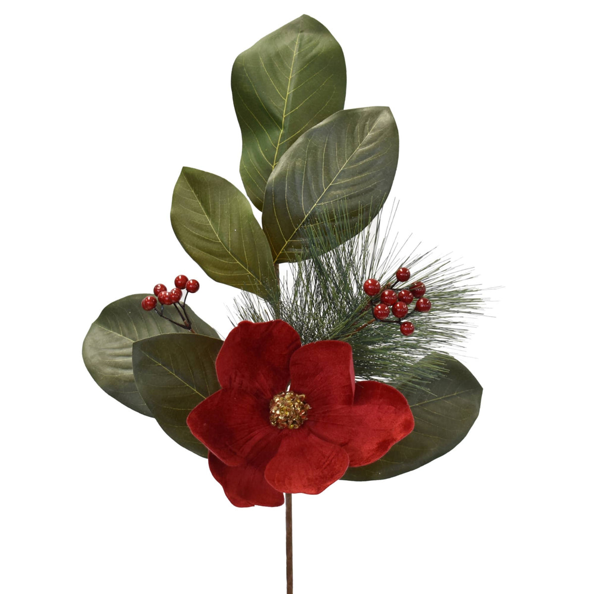 Royal Magnolia Berry Pick 25’’