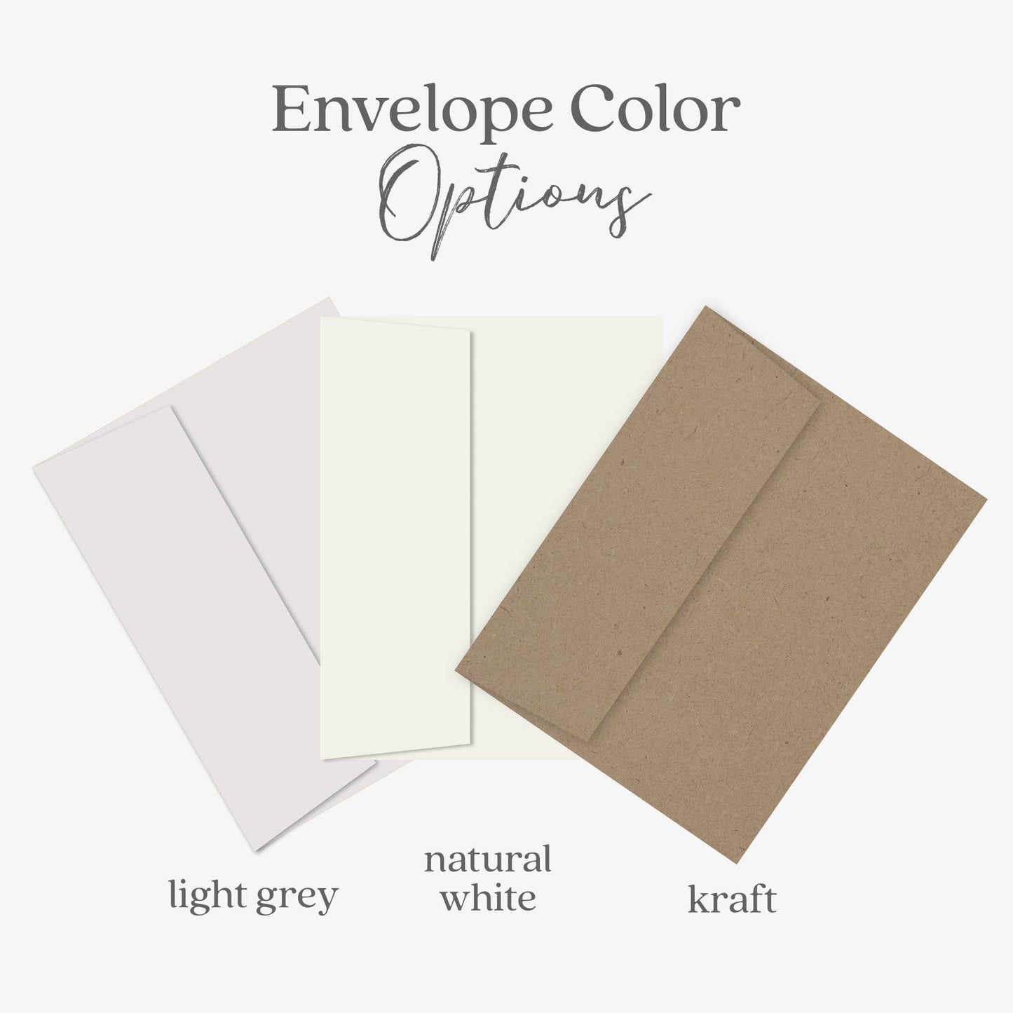 Elegant Plant Thank You Card, Botanical Card, Thanks