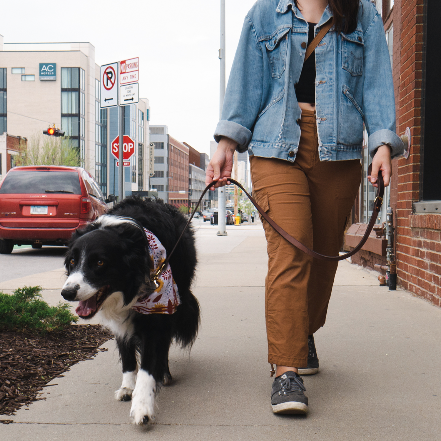 Fontenelle Supply Co. - Leather Dog Leash