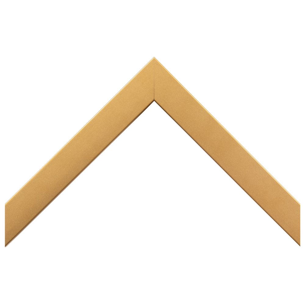 Beckman Gallery - Confetti Metallic Gold 7/8" Ready Made Picture Frame