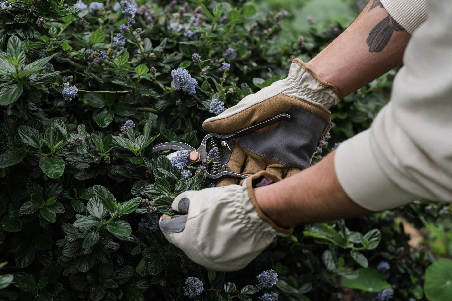 Barebones - Leepa Garden Gloves
