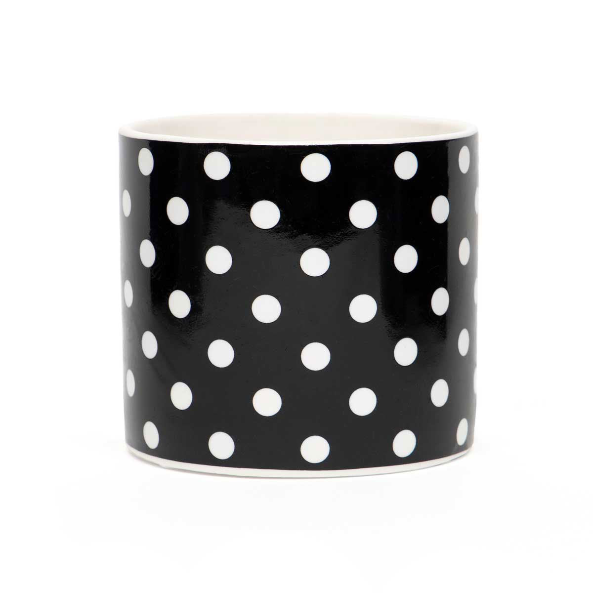 Polka Dot Pot