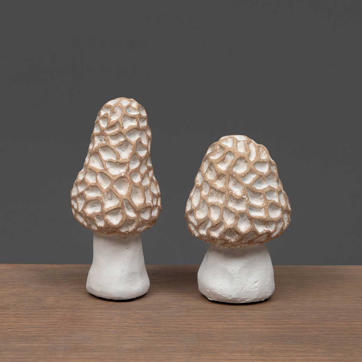 Morel Mushrooms - (2) Sizes