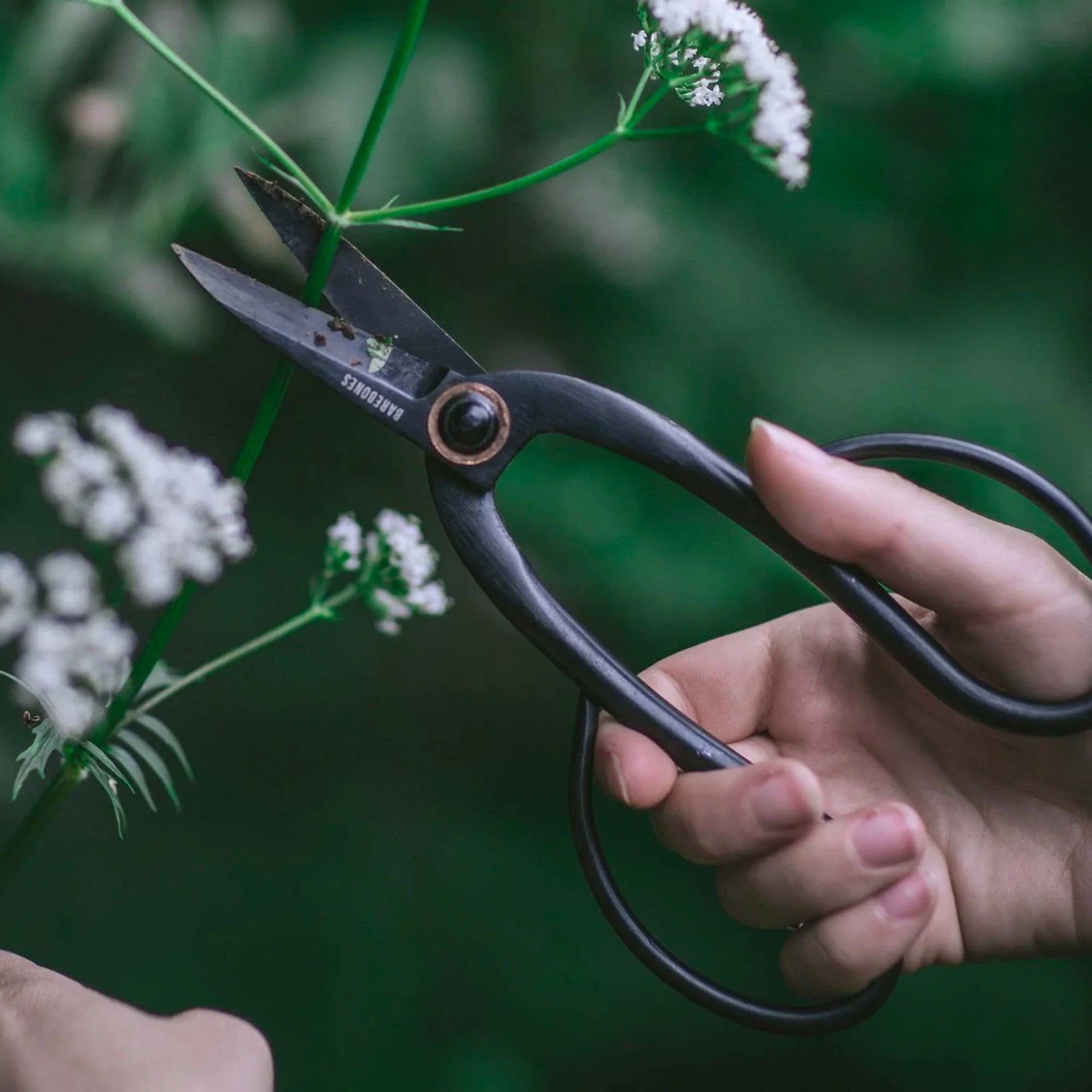 Barebones - Artisan Pruning Shears