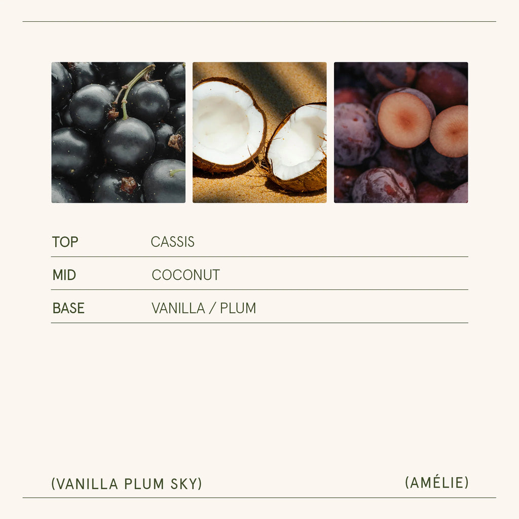 La Jolie Muse - Vanilla Plum Sky - Holiday Candle - 11oz