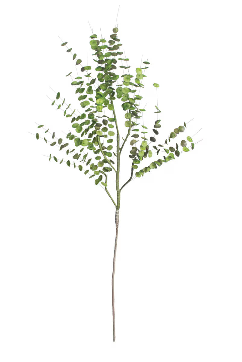 Florence Eucalyptus Spray