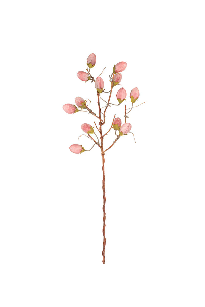 Botanica #3572
