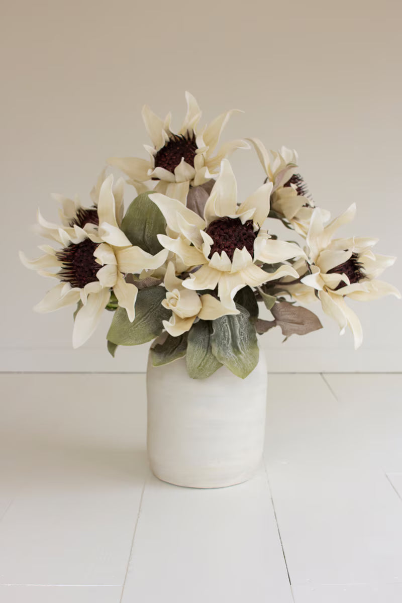 Botanica #2797