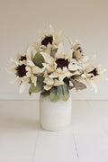 Botanica #2797